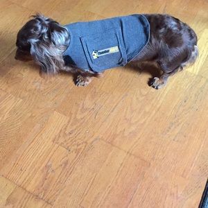 Thundershirt - a safe hug for your littlest dog!